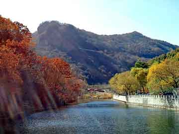 澳门二四六天天彩图库，晚托